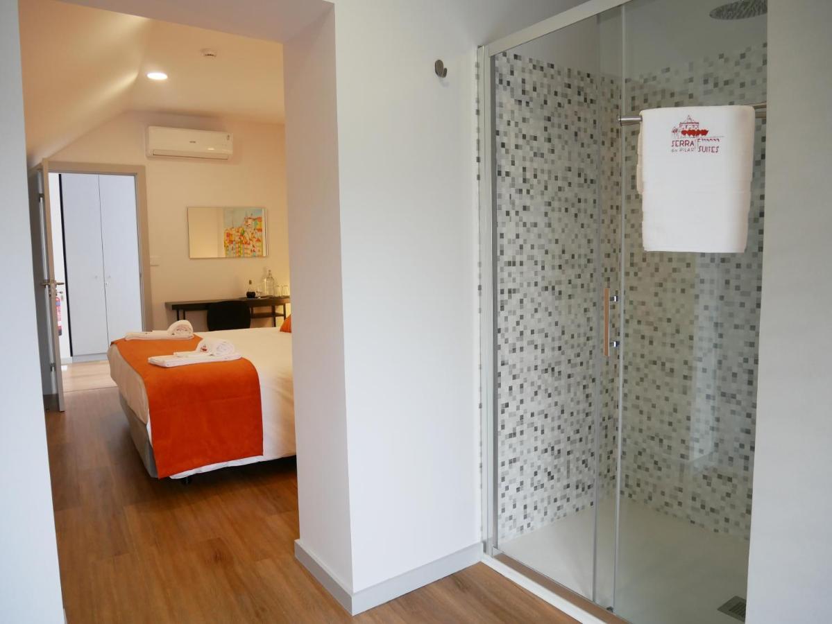 فيلا نوفا دي غايا Serra Do Pilar Porto Suites المظهر الخارجي الصورة